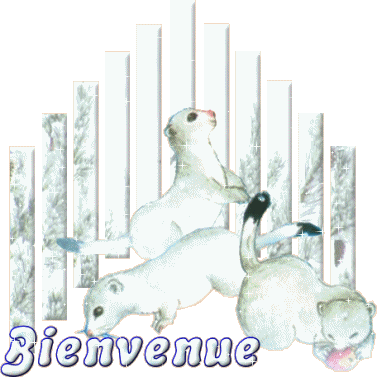 bienvenue