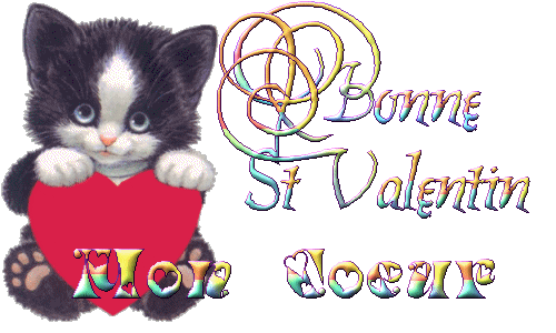 bonne fete de saint valentin 